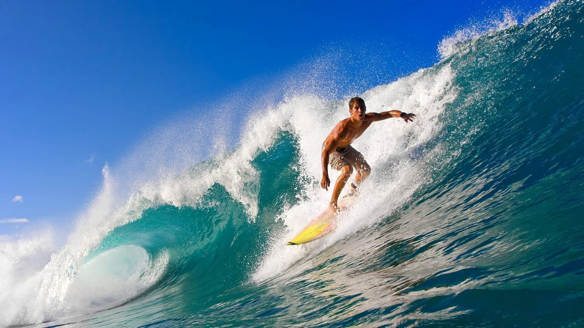 -争四大战心理适应关键战如何部署战术形式，战争心理战典型案例